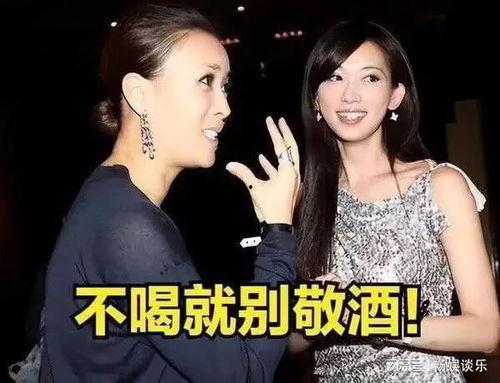 那英林志玲喝酒视频,画面温馨引网友热议