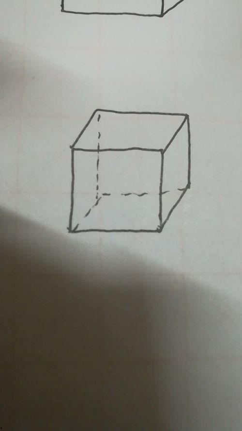 台钓视频教程,视频解析与技巧分享