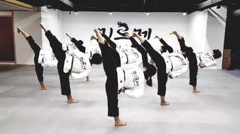 跆拳道高丽视频,视频解析与实战技巧