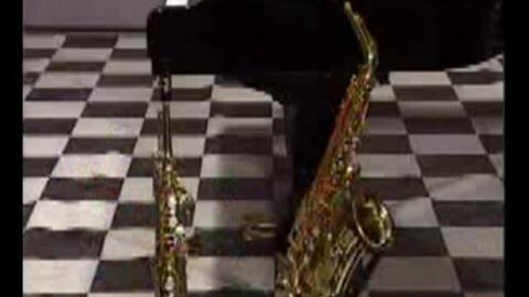 萨克斯教程初级视频教学,萨克斯教程初级视频学习要点概述