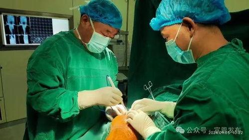 关节置换手术视频,从术前准备到术后康复