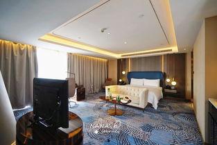 上海酒店视频,一窥魔都奢华住宿体验