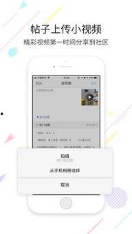 海苹果视频,探索海洋奥秘,畅游蓝色星球