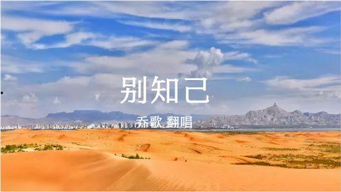 别知己原唱视频,深情演绎,唤起回忆的旋律之旅